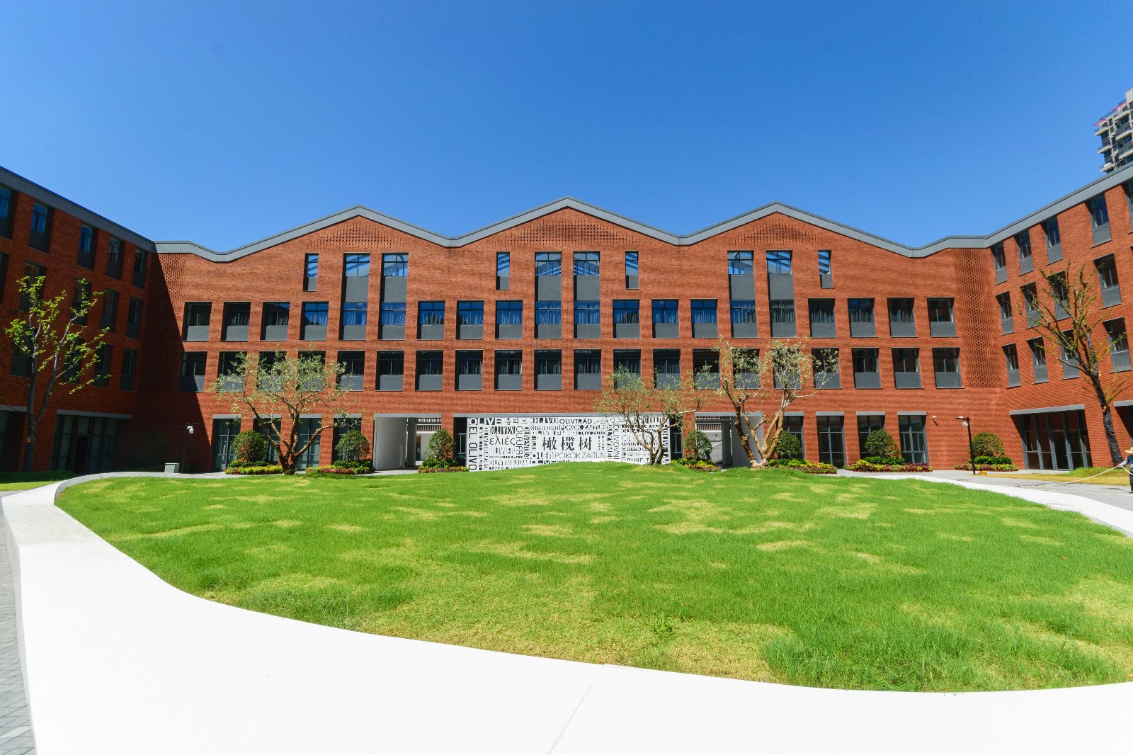 杭州橄榄树学校